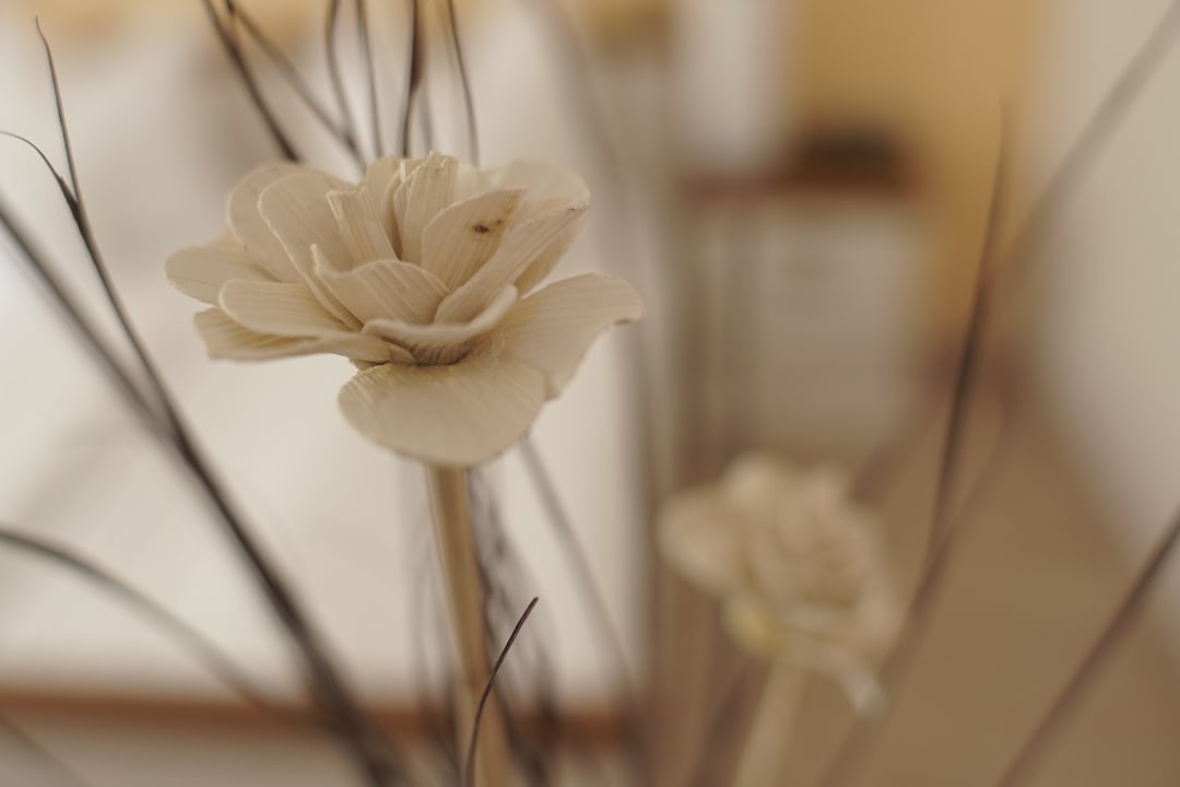 Sonstiges Haus am Fluss