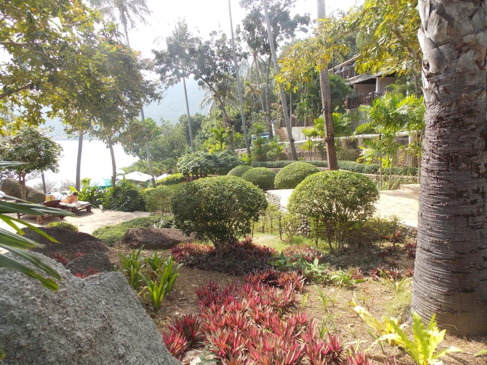 Garten Panviman Resort Koh Phangan