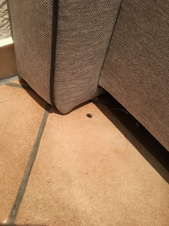 Zimmer Hotel Zur Hahnmühle