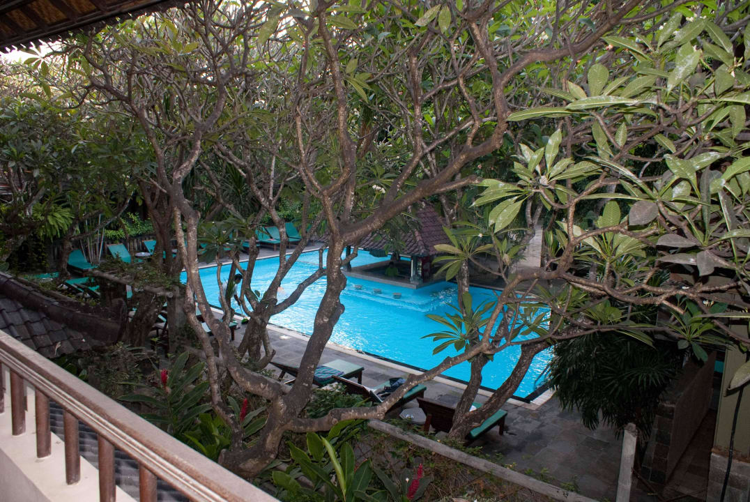 Blick auf Pool Hotel Puri Bambu