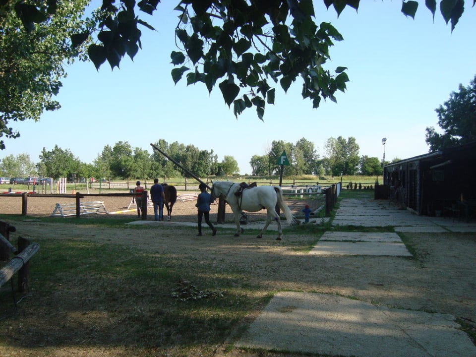 Reitstunden Hotel Neusiedler Csarda