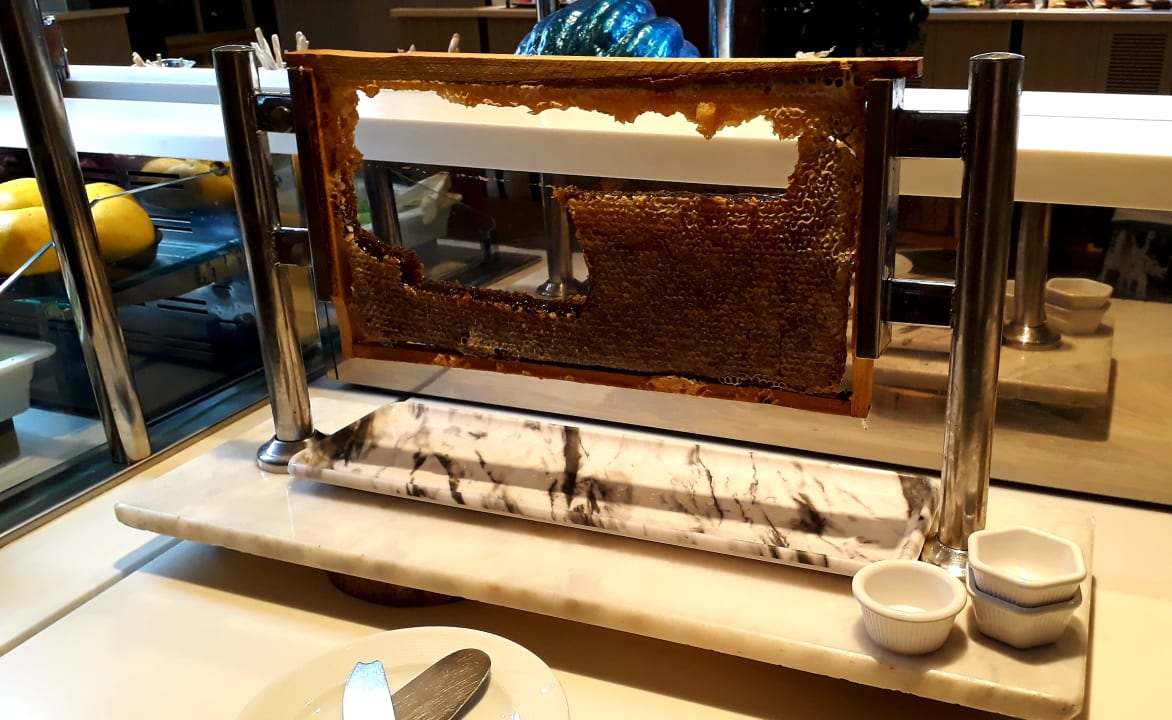 Gastro Sentido Trendy Verbena Beach