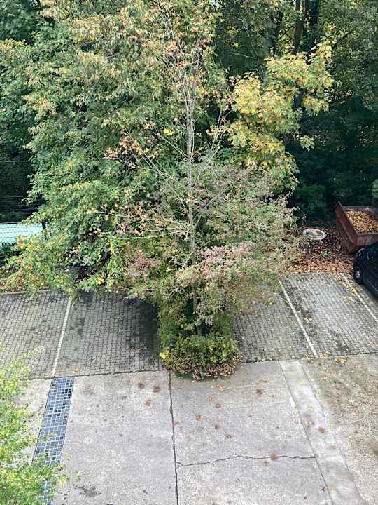 Ausblick Best Western Hotel Windorf