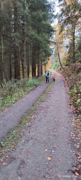 Ausblick Berghotel Hoher Knochen
