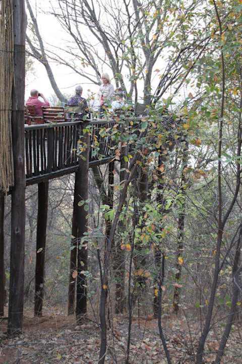 Terrasse mit Blick zum Okavango Shamvura Camp