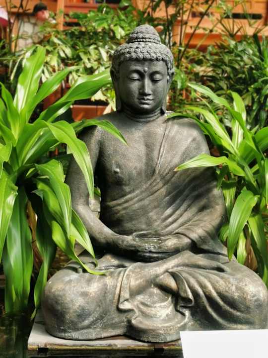 Gartenanlage Tropical Islands Resort