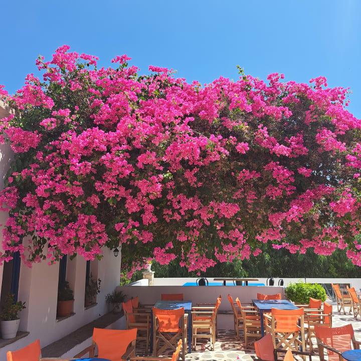 Gastro Ekaterini Hotel