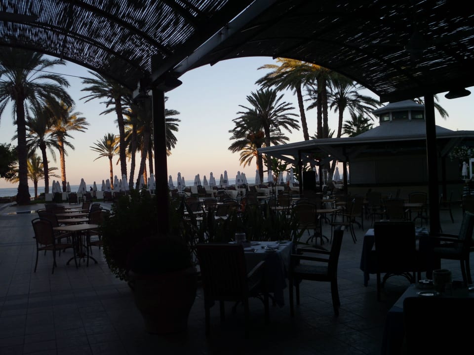 Poolbar TUI BLUE Pioneer Beach