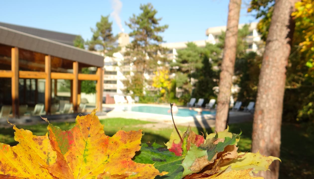 Pool Hotel Sonnenhügel