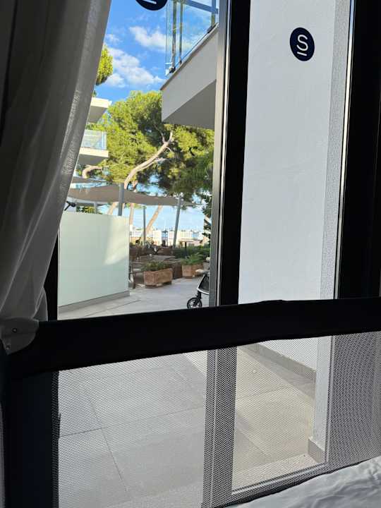 Zimmer Sofia Alcudia Beach