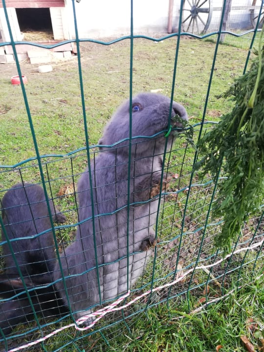 Sport & Freizeit Wiesenberghof