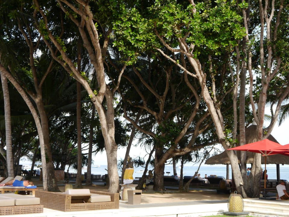 Viel Naturschatten Puri Santrian