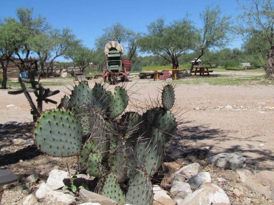 Chuck wagon Tombstone Monument Guest Ranch