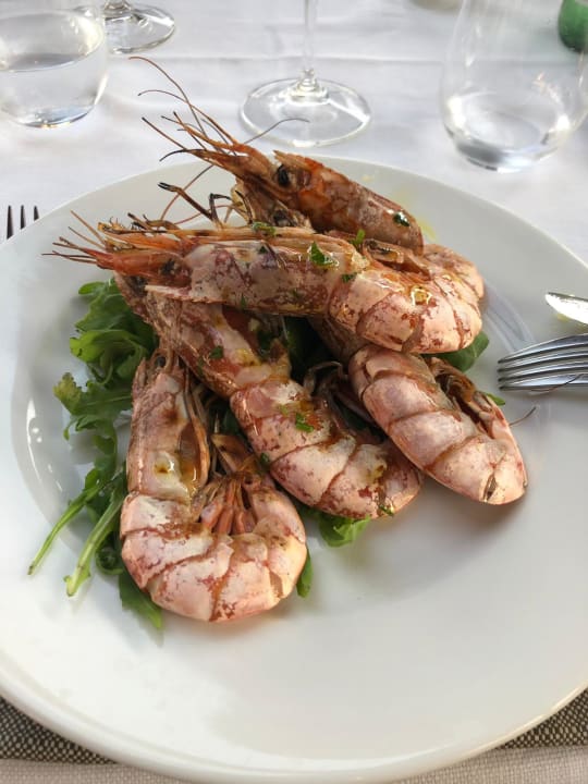 Gastro Lake Garda Resort