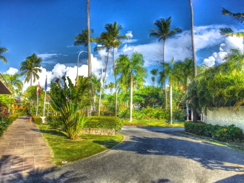 Hotelanlage TRS Turquesa Hotel - Adults only