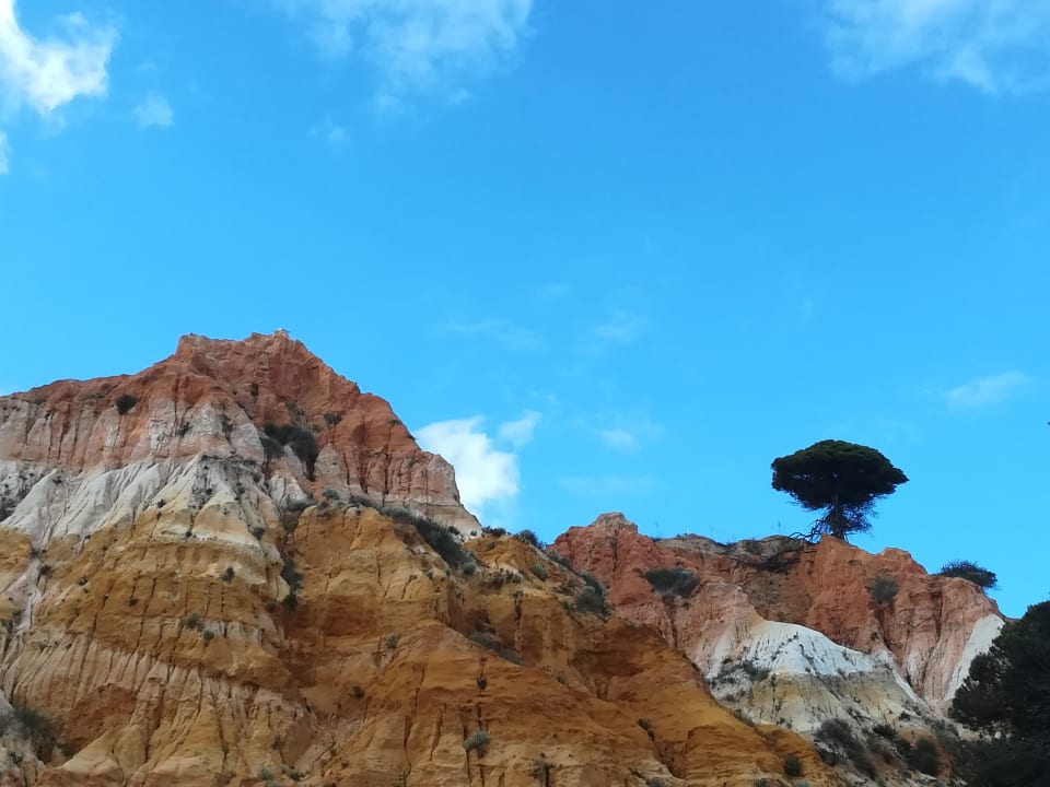 Strand PortoBay Falésia