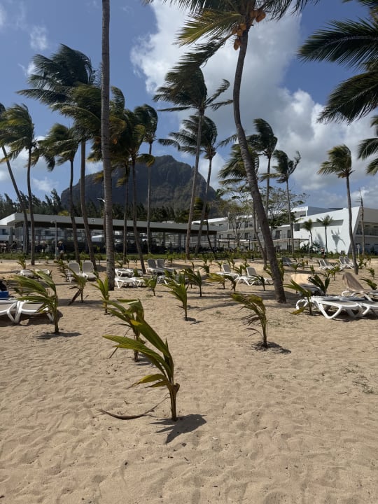 Strand Hotel Riu Turquoise