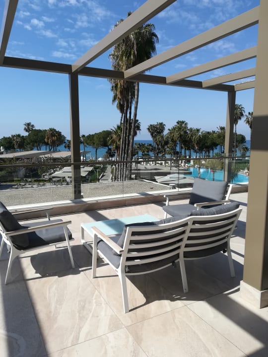 Gastro Acanthus Cennet Barut Collection