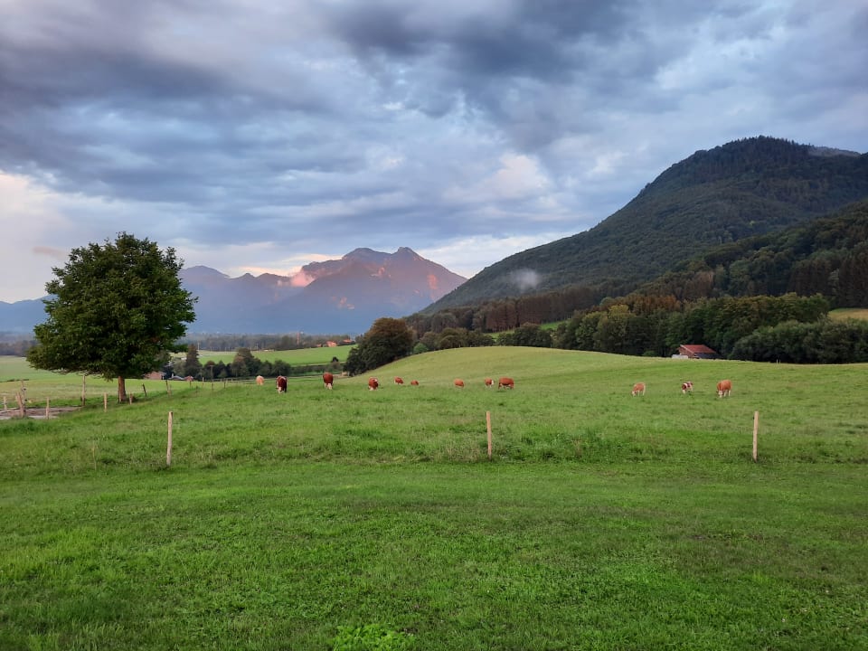 Ausblick Ferienwohnung Hoderhof