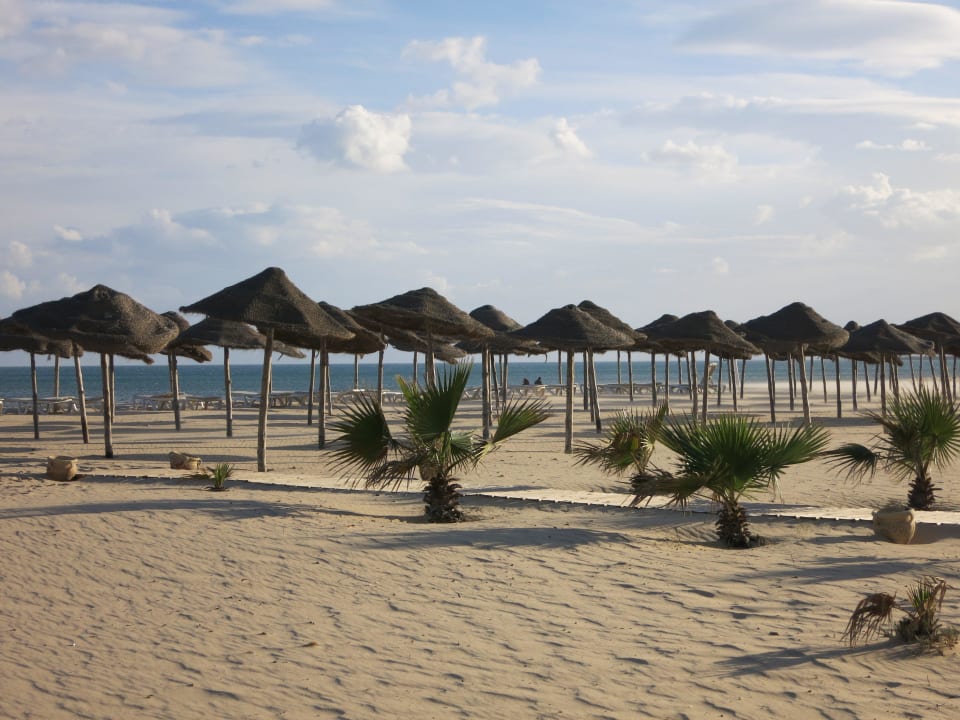Menschenleer Steigenberger Marhaba Thalasso Hammamet