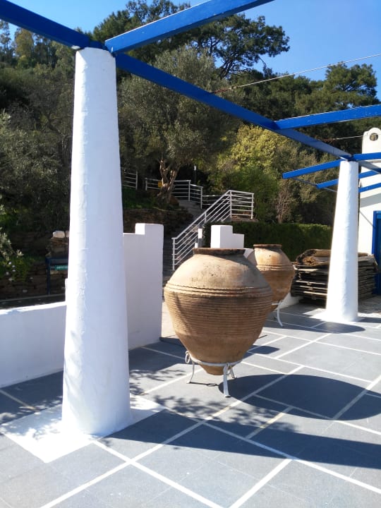 Sonstiges Paloma Pasha