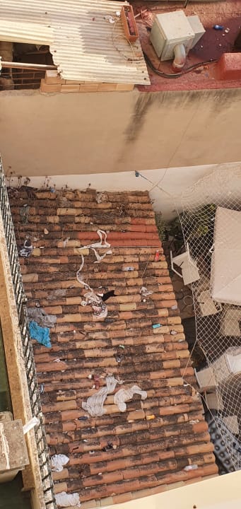 Ausblick whala!beach