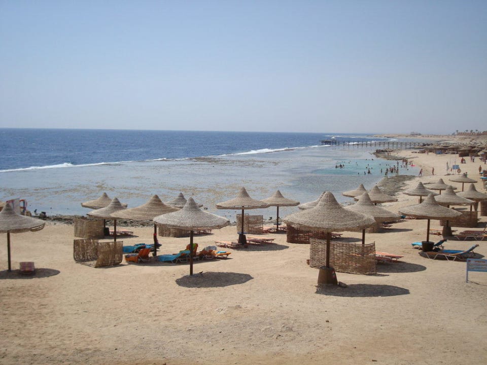 Blick auf den Strand Sentido Akassia Beach