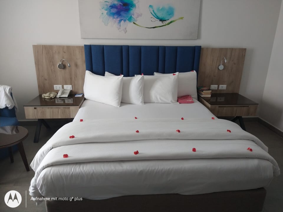 Zimmer Pickalbatros Blu Spa Resort