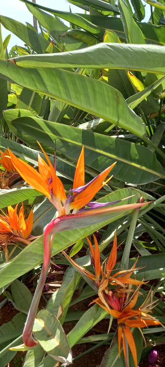 Außenansicht Azia Resort & Spa