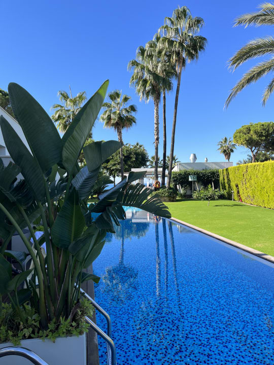 Pool Acanthus Cennet Barut Collection