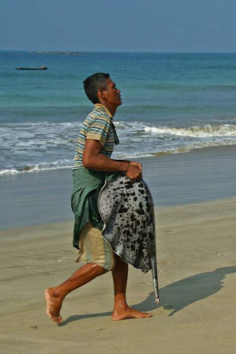 Fischer am Strand Hotel Aureum Palace Resort