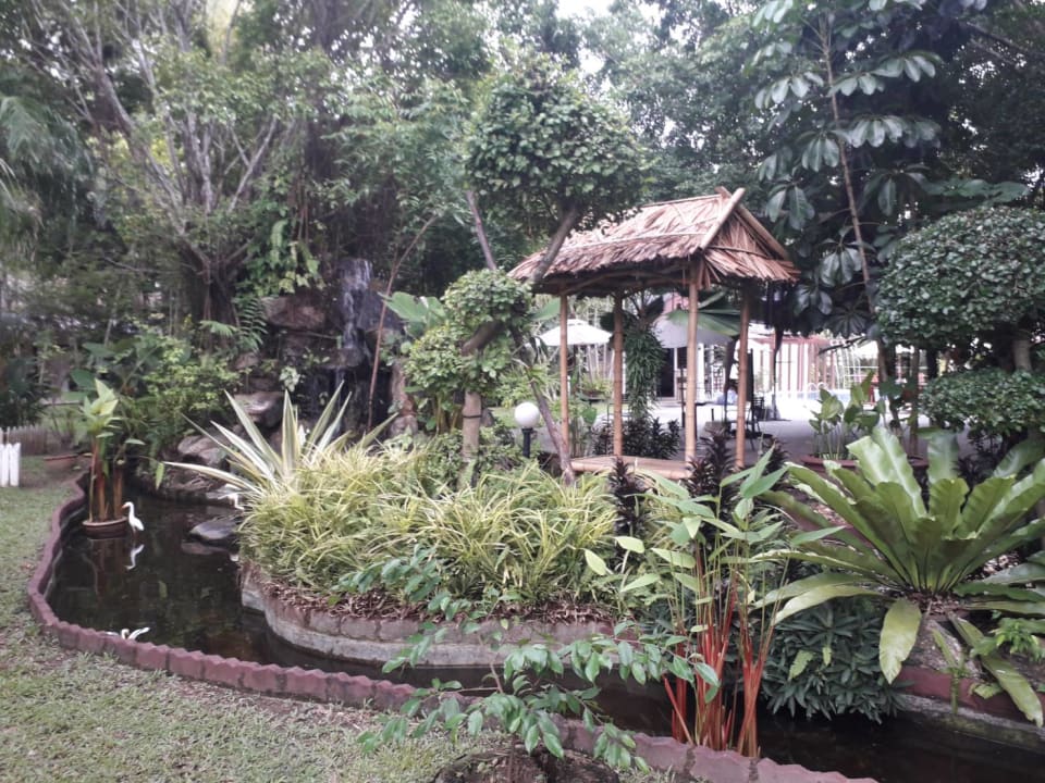 Gartenanlage Deevana Patong Resort & Spa
