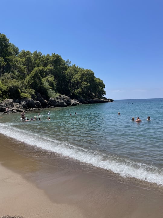 Strand Arycanda Kirman Premium