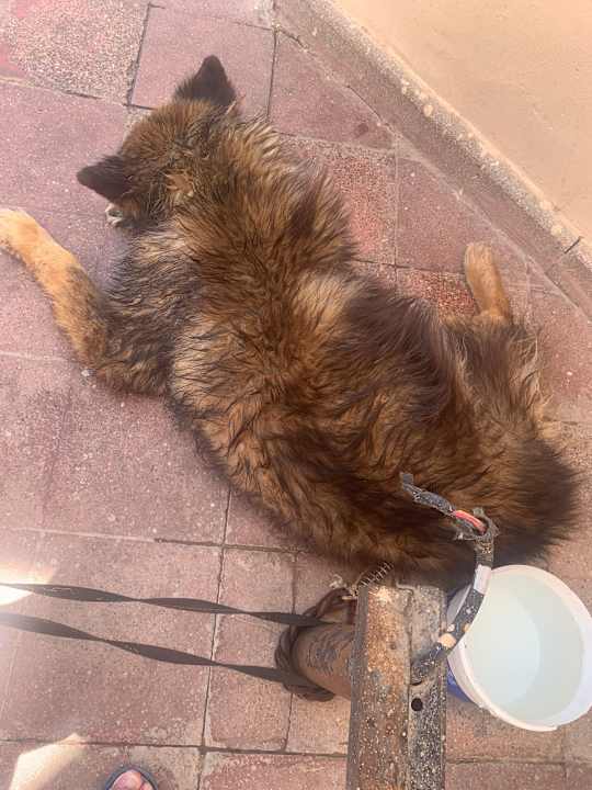 Außenansicht Marriott Hurghada Beach Resort