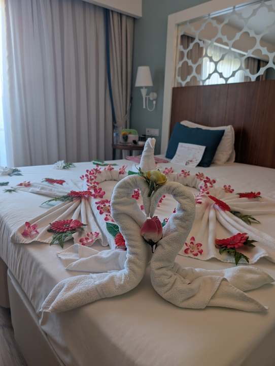 Zimmer Seashell Vega