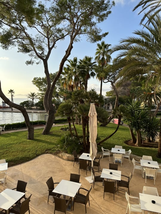 Ausblick allsun App.-Hotel Orquidea Playa