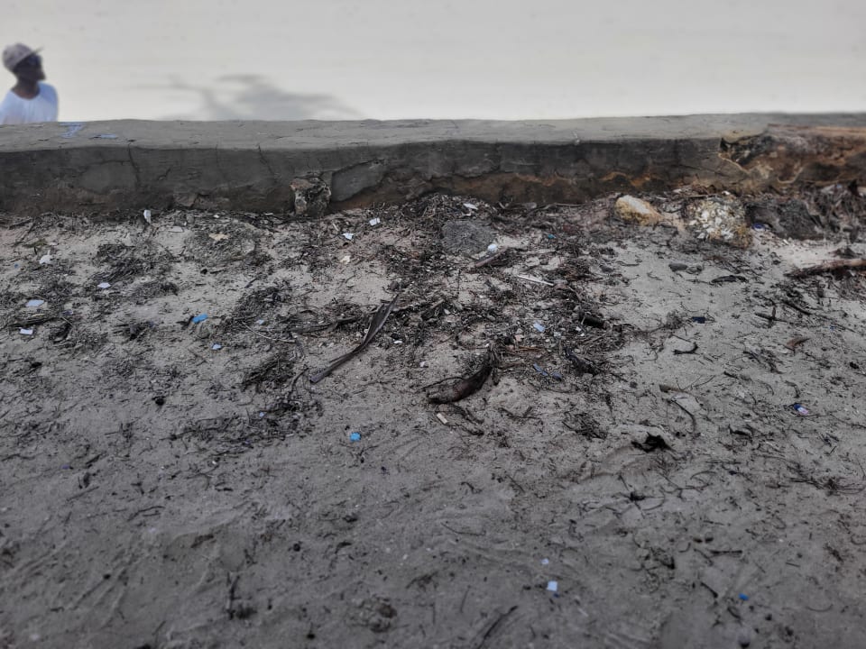 Strand Diani Sea Resort