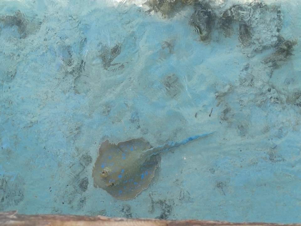 Strand Casa Mare Resort