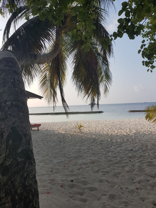 Ausblick Ellaidhoo Maldives by Cinnamon