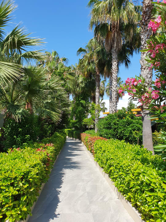 Außenansicht Hane Family Resort