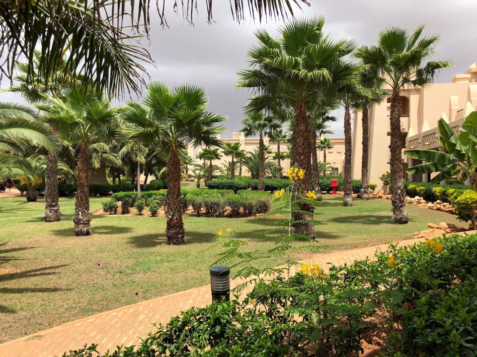 Gartenanlage Hotel Riu Touareg