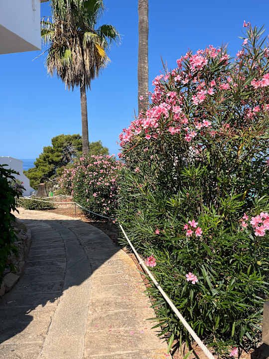 Gartenanlage Sun Club Eldorado