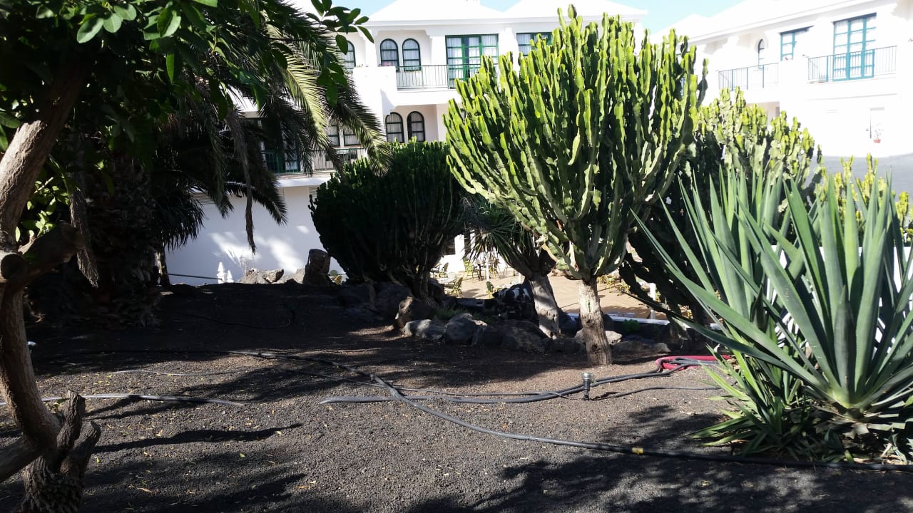 Gepflegt H10 Ocean Suites