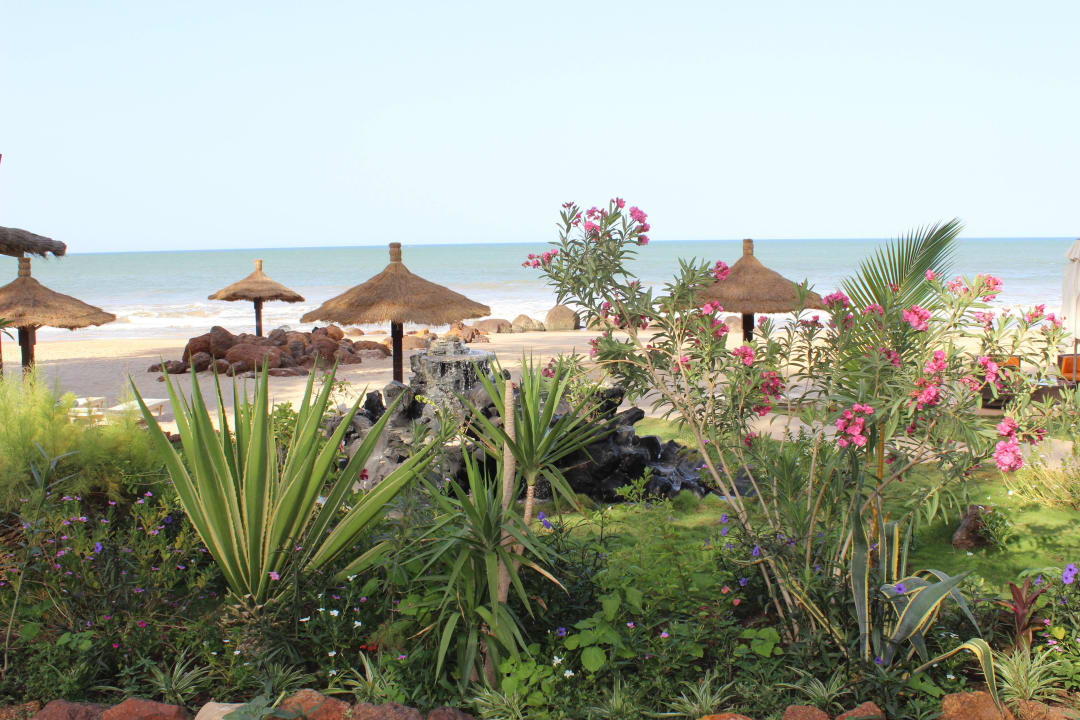 Blick aufs Meer Royal Horizons Baobab