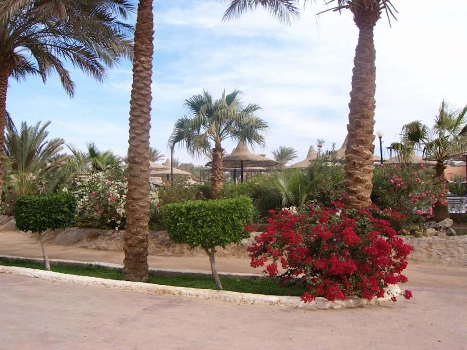 Gartenanlage Giftun Azur Resort