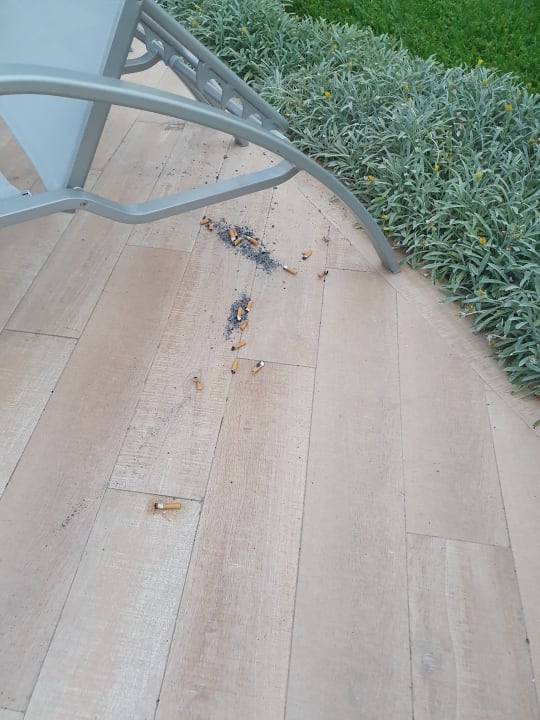 Sonstiges Alcudia Garden Aparthotel