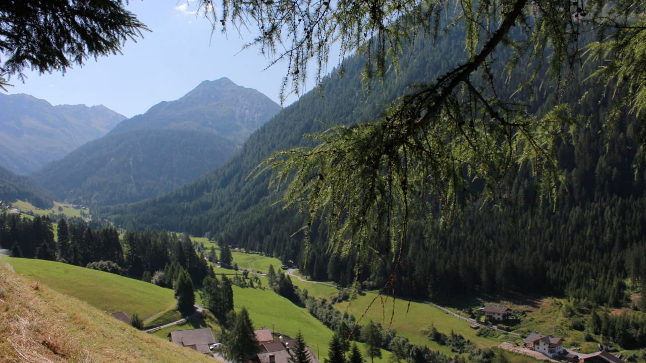 Blick vom Hotel Genießer- & Wanderhotel Jägerhof