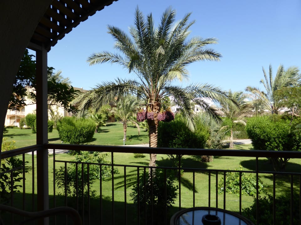 Sicht vom Balkon von Zimmer 3234 Desert Rose