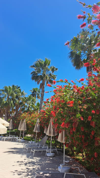 Gartenanlage Seaden Sea World Resort & Spa