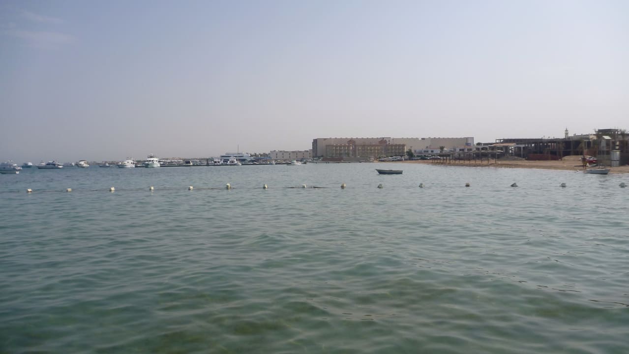 Ausblick Pickalbatros White Beach Resort - Hurghada